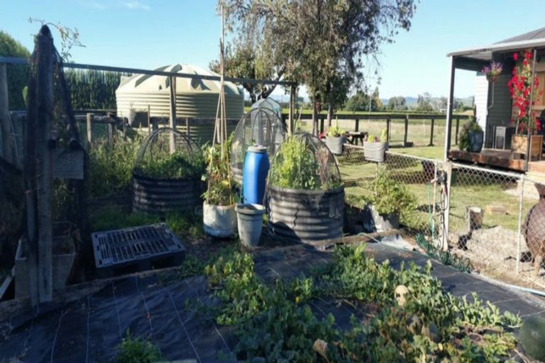 Photo of property in 1130 Matawai Road, Ormond, Gisborne, 4071