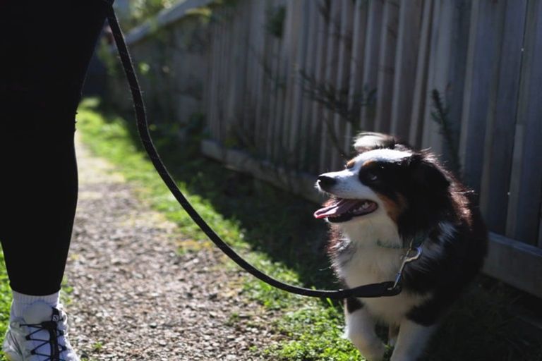 Photo of property in 60 Rochdale Drive, Churton Park, Wellington, 6037