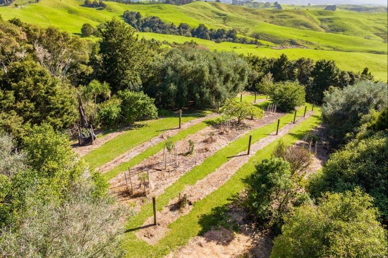 Photo of property in 429 Glenmohr Road, Waipu, 0582