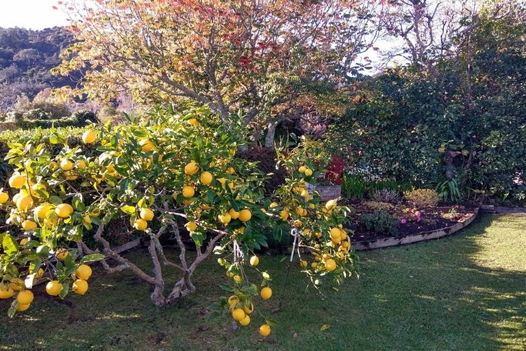 Photo of property in 717 Mount Pleasant Road, Thames, 3500