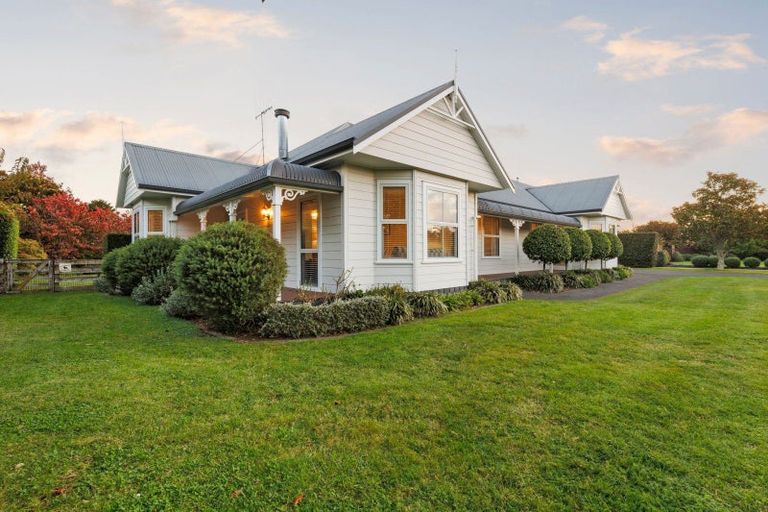 Photo of property in 78 Amelia Place, Leamington, Cambridge, 3432