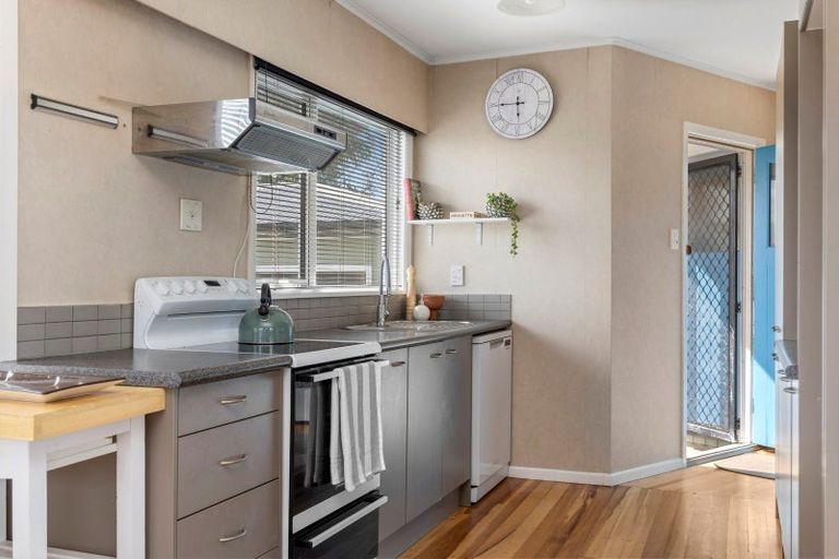 Photo of property in 208 Tamamutu Street, Taupo, 3330