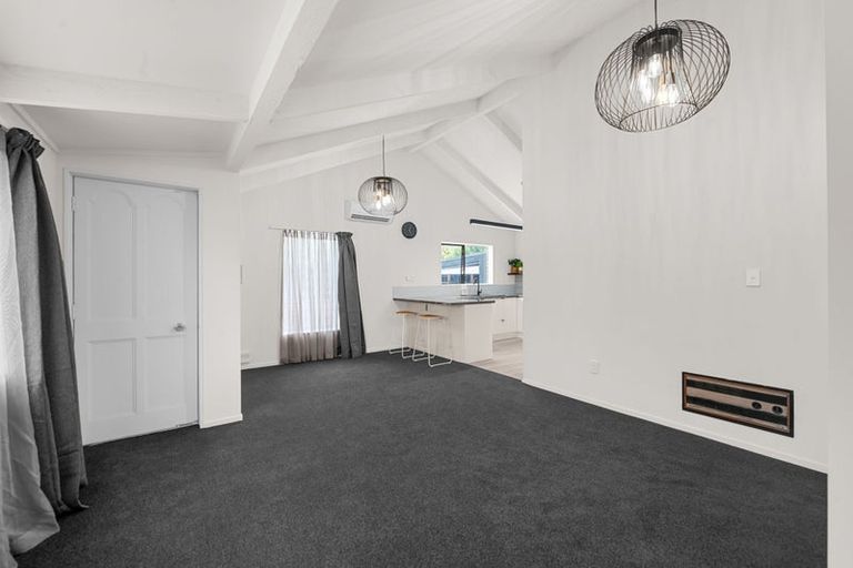 Photo of property in 120 Clarkin Road, Fairfield, Hamilton, 3214
