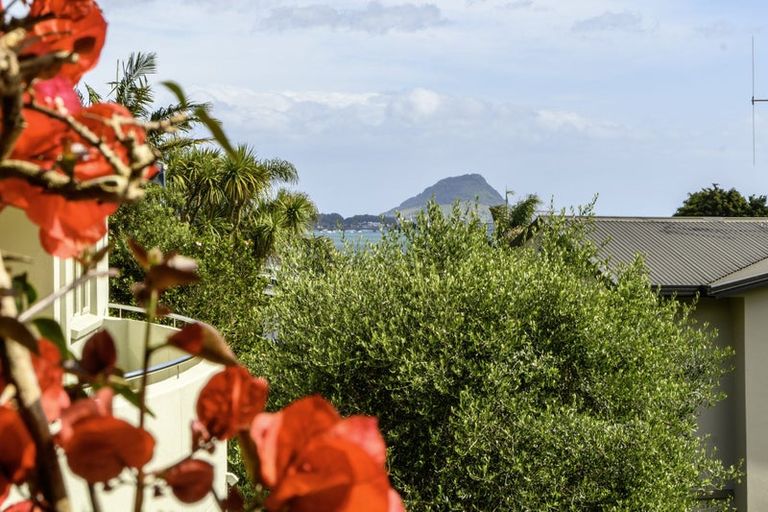 Photo of property in 6a Anchorage Grove, Maungatapu, Tauranga, 3112