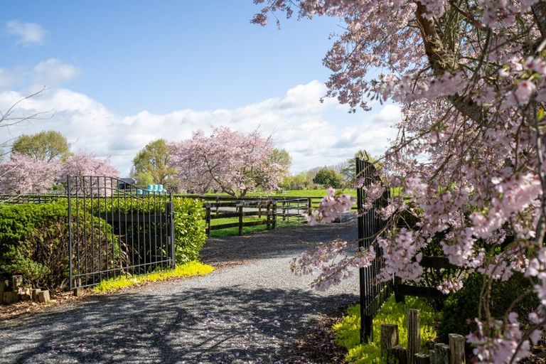 Photo of property in 5/103 Maungakawa Road, Cambridge, 3496