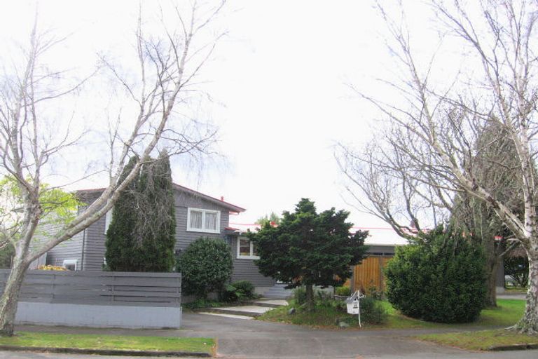 Photo of property in 17 Heatley Avenue, Hokowhitu, Palmerston North, 4410