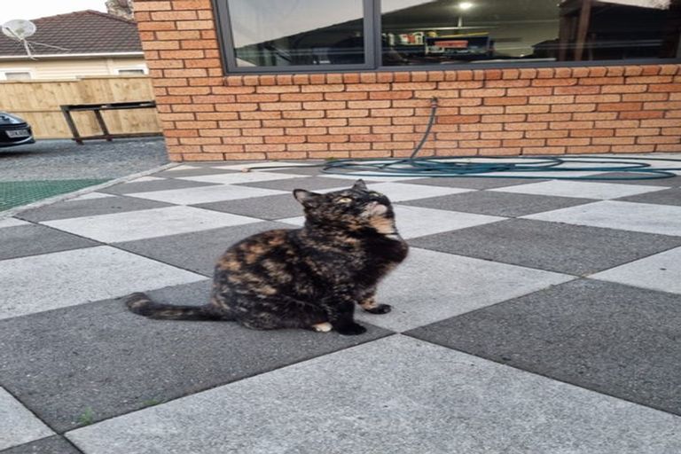 Photo of property in 20 Whatawhata Avenue, Ngaruawahia, 3720