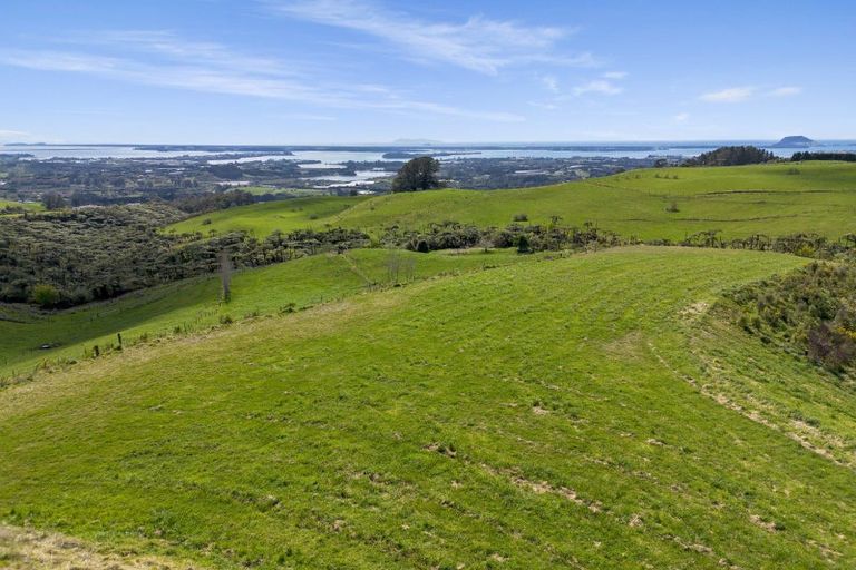 Photo of property in 596a Minden Road, Minden, Tauranga, 3176