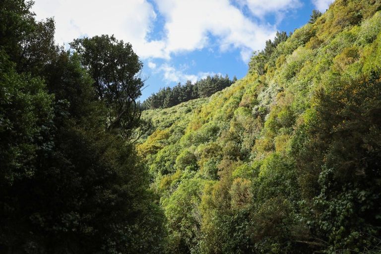 Photo of property in 106 Harrison Hill Road, Aokautere, 4471