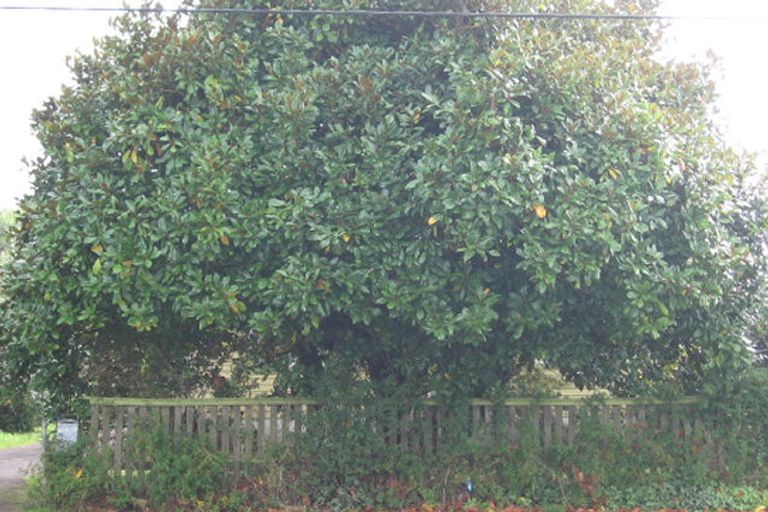 Photo of property in 109 Metcalfe Road, Ranui, Auckland, 0612