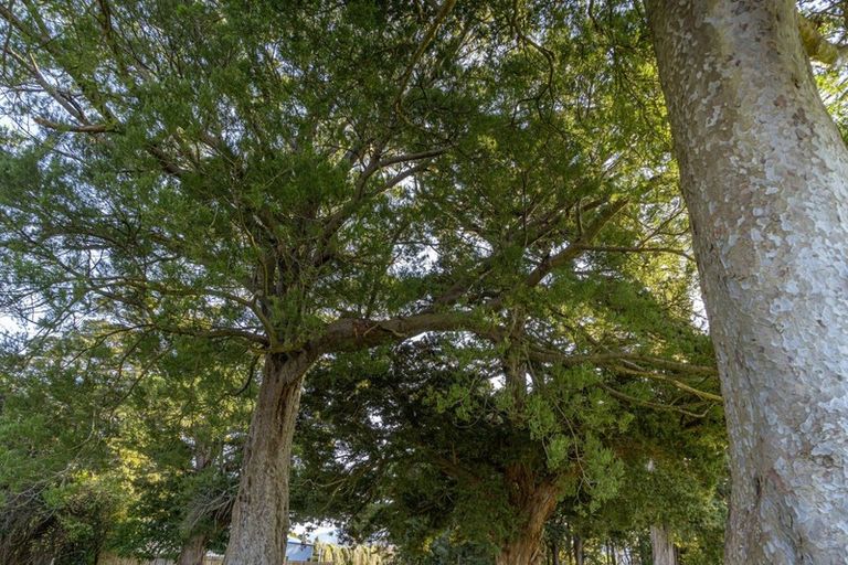 Photo of property in 23 Orchard Road, Greytown, 5712