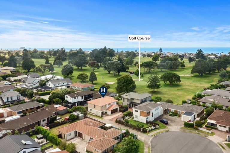 Photo of property in 17a Solway Place, Mount Maunganui, 3116