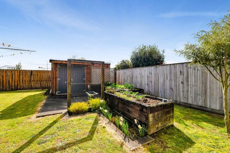 Photo of property in 120 Miranda Street, Stratford, 4332