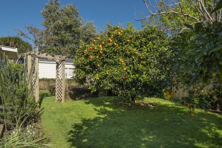 Photo of property in 19 Taipari Street, Maungatapu, Tauranga, 3112
