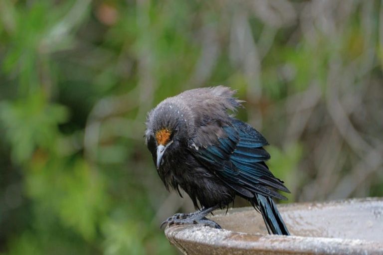 Photo of property in 63 Waiewe Street, Whakatane, 3120