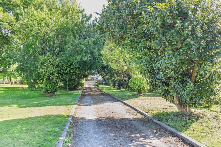 Photo of property in 111 Avenue Road, Foxton, 4891