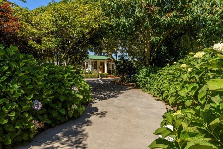 Photo of property in 275 Snodgrass Road, Te Puna, Tauranga, 3174