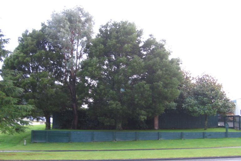 Photo of property in 38 East Parkdale Street, Tokoroa, 3420