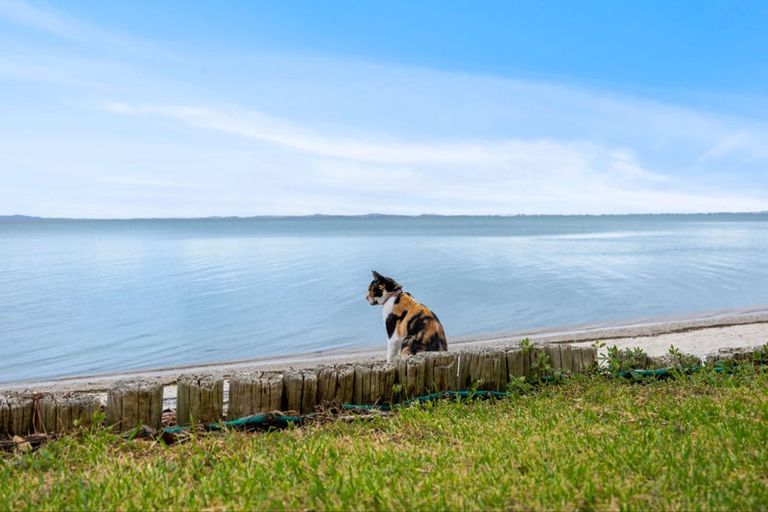 Photo of property in 63a Torkar Road, Clarks Beach, 2122