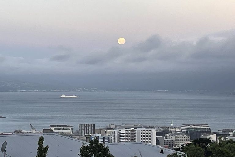 Photo of property in 29 Tanera Crescent, Brooklyn, Wellington, 6021