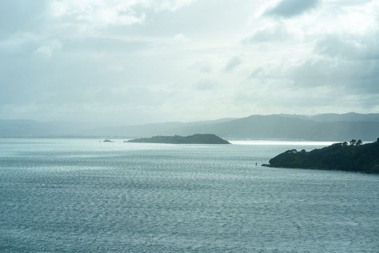 Photo of property in 142 Grafton Road, Roseneath, Wellington, 6011