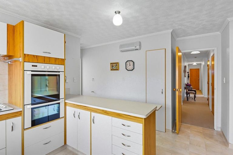 Photo of property in 22 Andrew Street, Waikanae, 5036