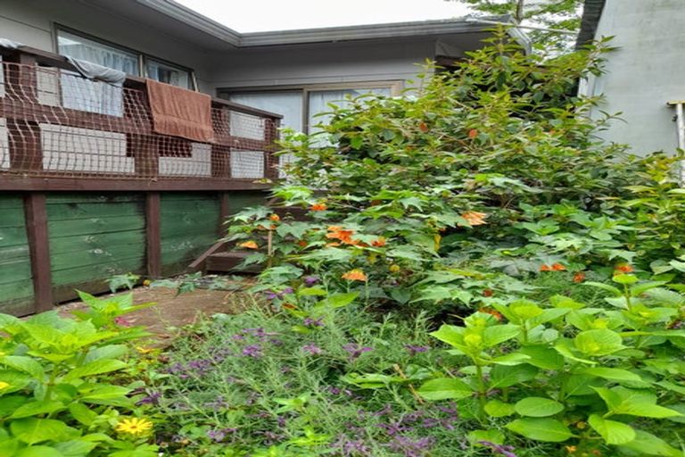 Photo of property in 6 Nettlingham Place, Te Puke, 3119