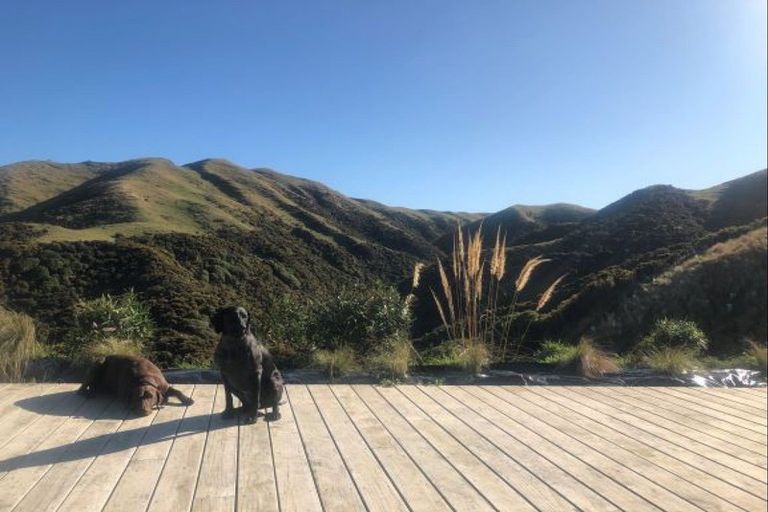 Photo of property in 1029 Ohariu Valley Road, Ohariu, Wellington, 6037