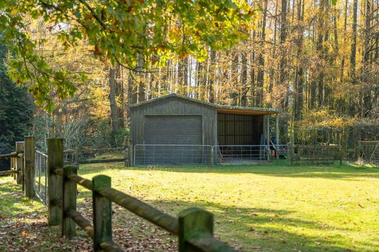 Photo of property in 175 Forest Road, Oruanui, Taupo, 3384