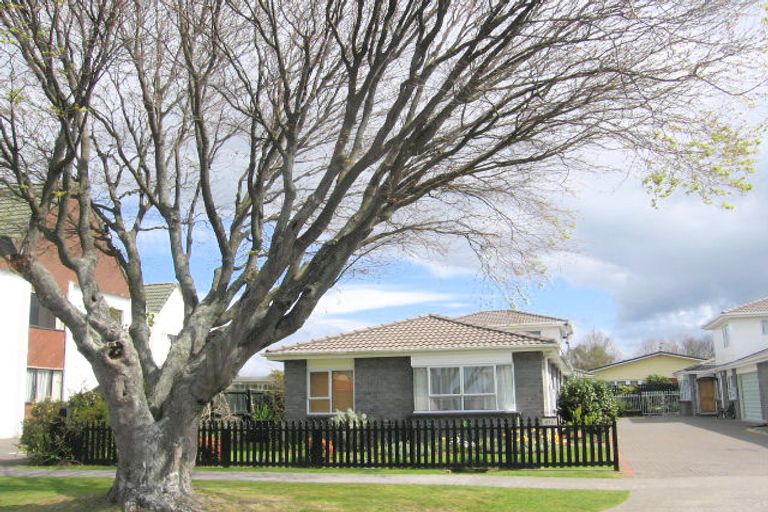 Photo of property in 25d Eason Street, Victoria, Rotorua, 3010