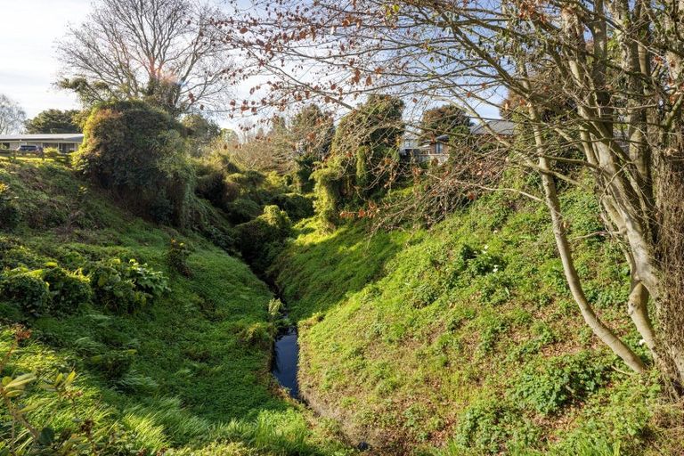 Photo of property in 213 Maeroa Road, Maeroa, Hamilton, 3200