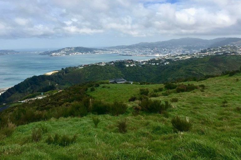 Photo of property in 9a Grumman Lane, Newlands, Wellington, 6037