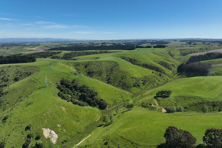 Photo of property in 47 Oopunga Road, Pukekohe, 2120