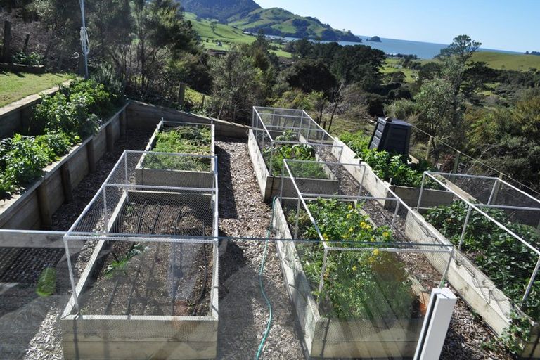 Photo of property in 17 Harbour Lights Terrace, Whitianga, 3592