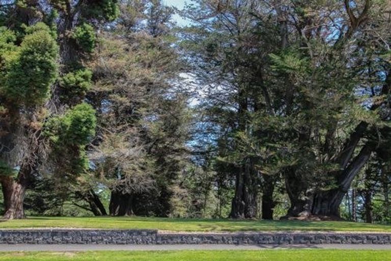 Photo of property in 13/19u Ruakiwi Road, Hamilton Lake, Hamilton, 3204