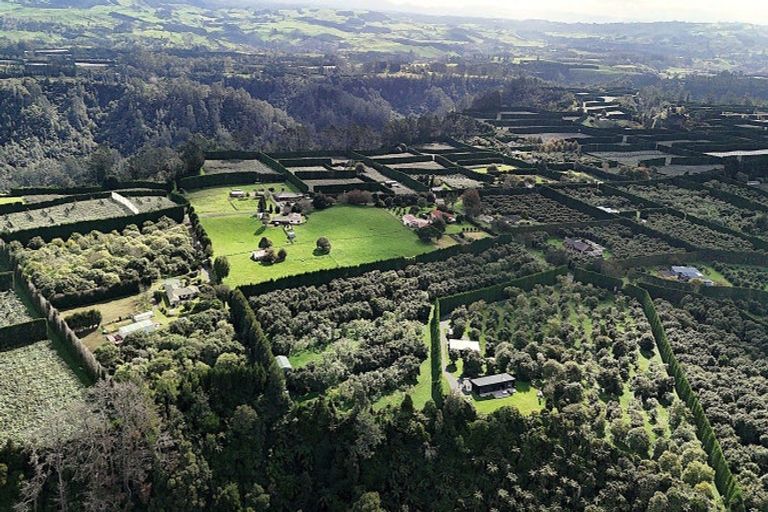 Photo of property in 559b Belk Road, Omanawa, Tauranga, 3171