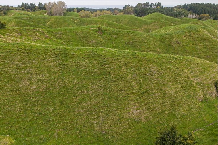Photo of property in 81 Kaiwaka Road, Tangoio, Napier, 4181