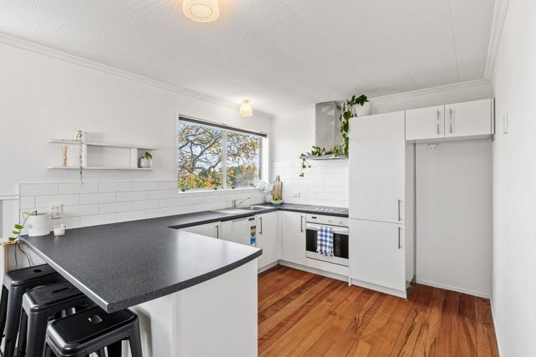 Photo of property in 219a Tukapa Street, Westown, New Plymouth, 4310