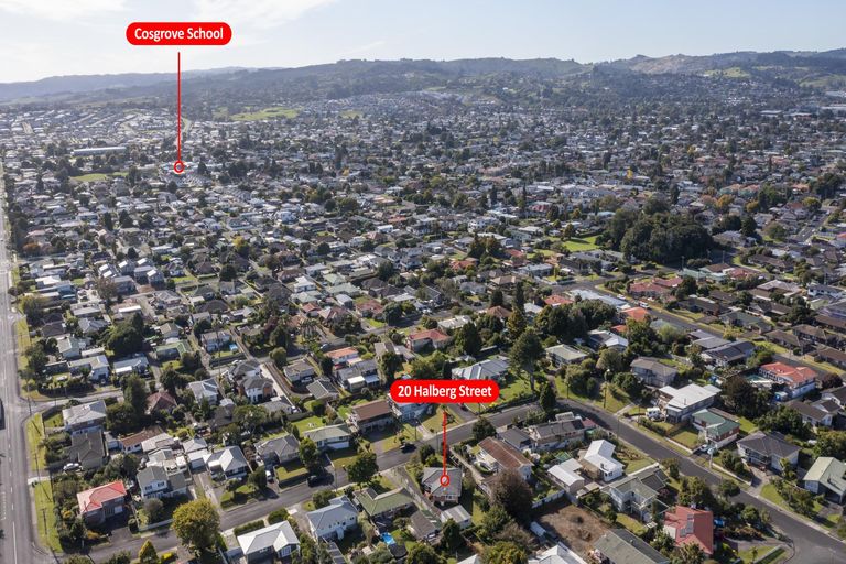 Photo of property in 20 Halberg Street, Papakura, 2110