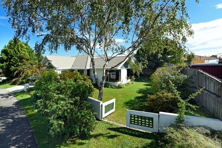 Photo of property in 46 Rochfort Drive, Richmond, 7020