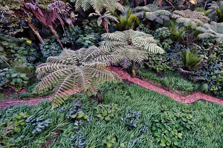 Photo of property in 39 Kohu Road, Titirangi, Auckland, 0604