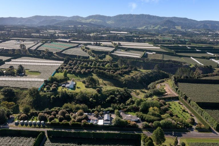 Photo of property in 612 No 1 Road, Te Puke, 3182