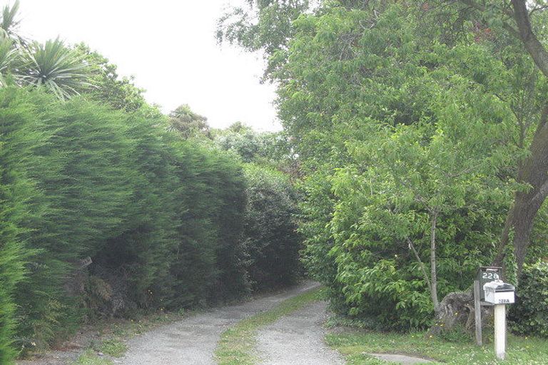 Photo of property in 230 Opawa Road, Hillsborough, Christchurch, 8022