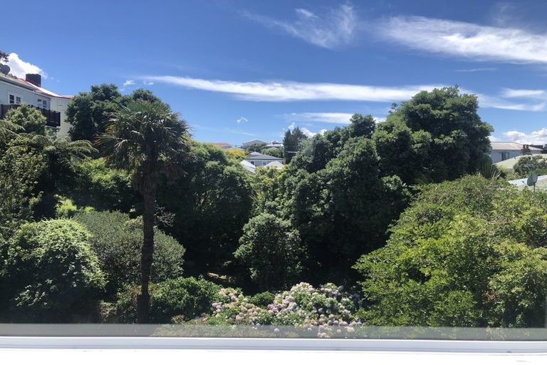 Photo of property in 145b Wallace Street, Mount Cook, Wellington, 6021