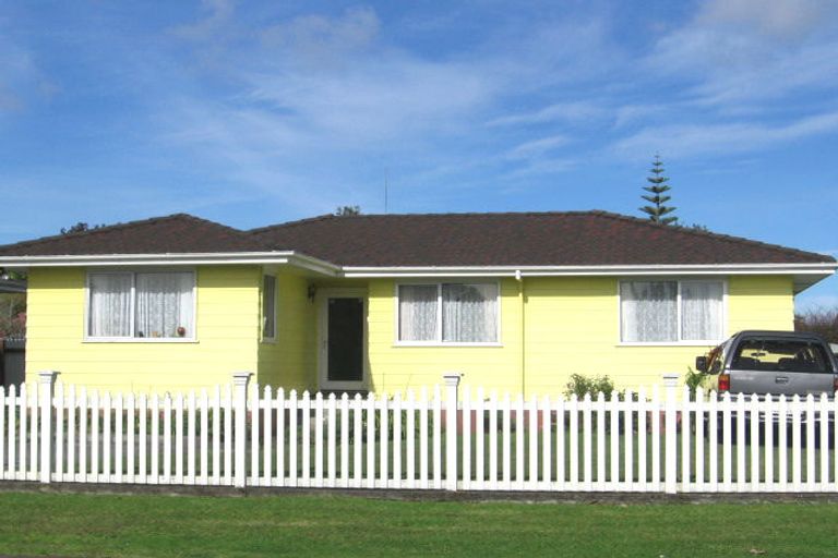 Photo of property in 22 Hinerau Street, Henderson, Auckland, 0612