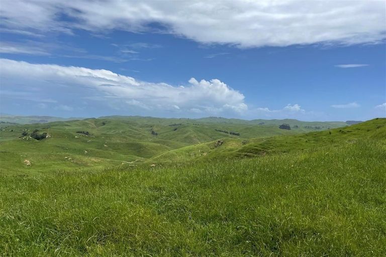 Photo of property in 429 Te Akau South Road, Te Akau, Ngaruawahia, 3793