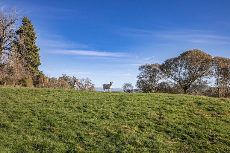 Photo of property in 164 Mount Herbert Road, Waipukurau, 4200