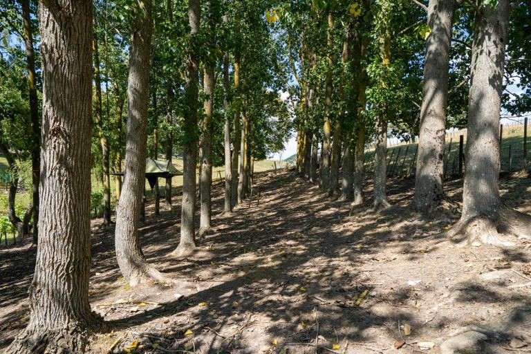 Photo of property in 398 French Pass Road, Karapiro, Cambridge, 3496