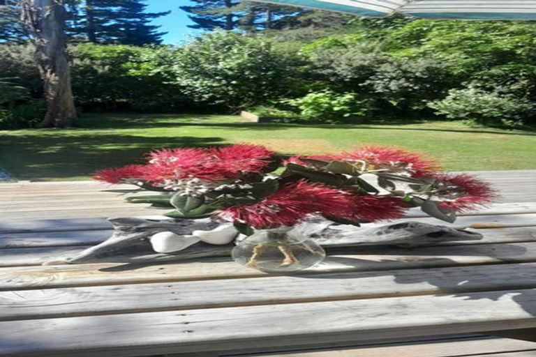 Photo of property in 46 Pitt Street, Runanga, 7803