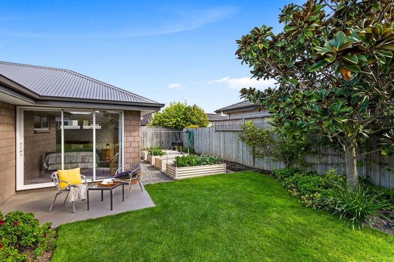 Photo of property in 11 Rose Street, Springlands, Blenheim, 7201